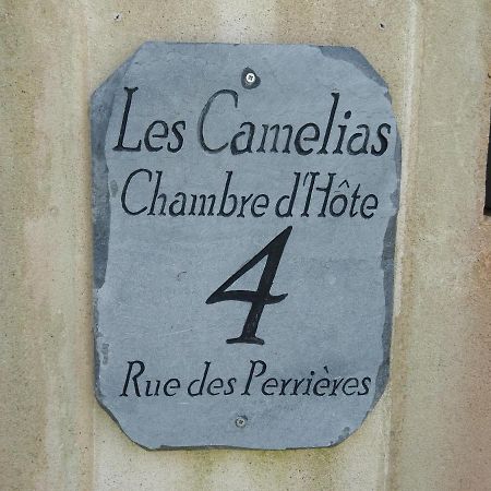 Les Camelias Bed & Breakfast Binic Exterior photo